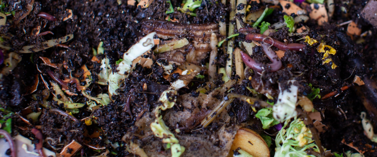 Brown and green material to make compost