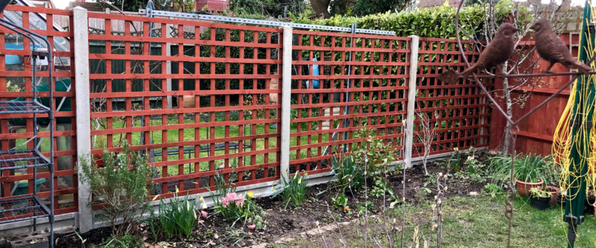 Fence panels for more privacy