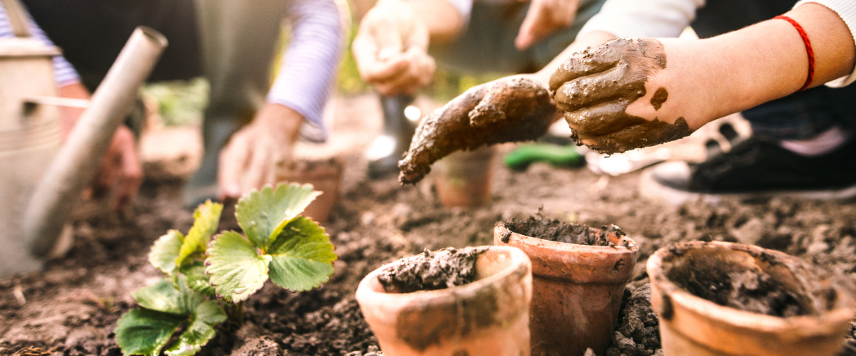 Top five tips to get kids gardening