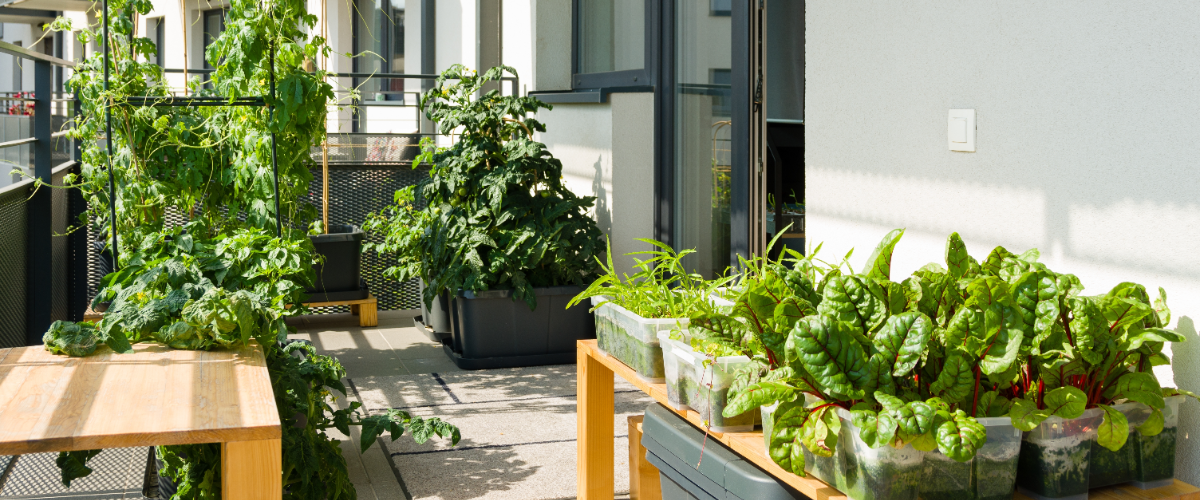 Vertical gardening for balconies