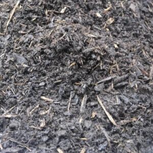 Tree and Shrub Compost